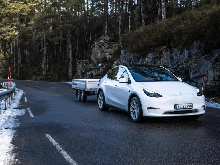 TYSSE 6347NFH, 2600 kg, Varehenger