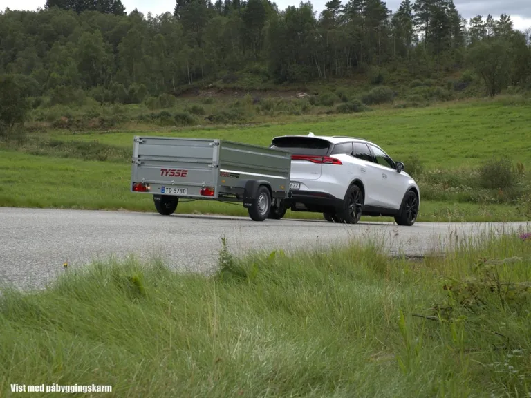 TYSSE 6280, 1300 kg, Varehenger