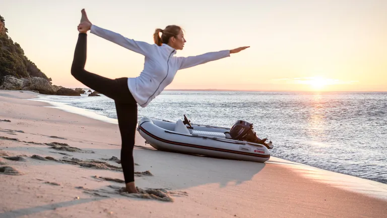 Båtmotor, Yamaha F20GWHS