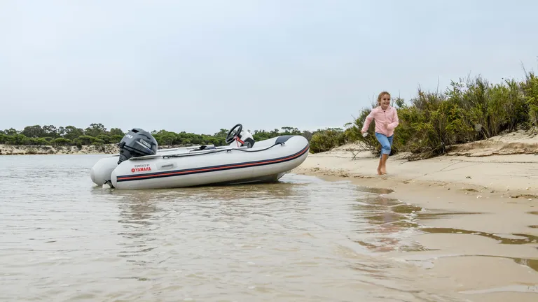 Båtmotor, Yamaha F20GWHS