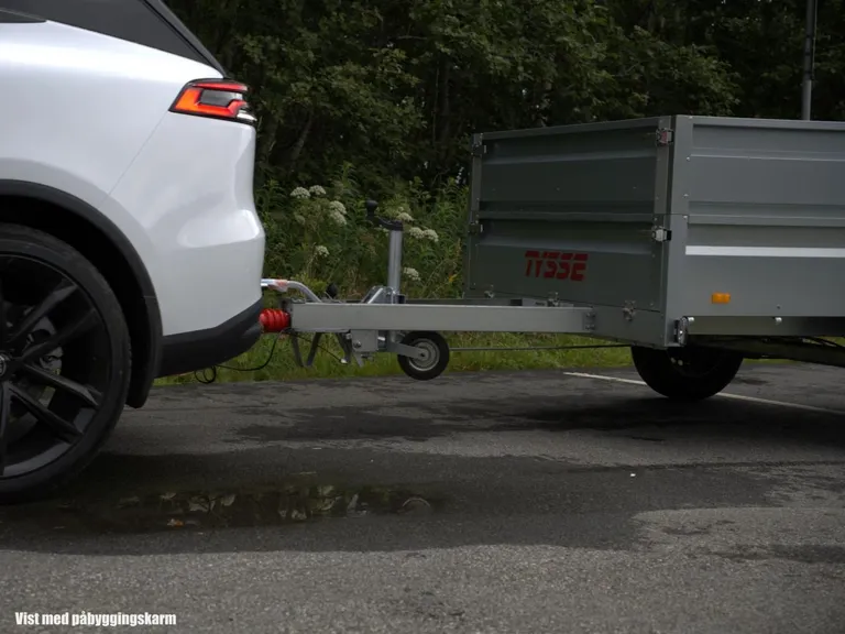 TYSSE 6280, 1300 kg, Varehenger