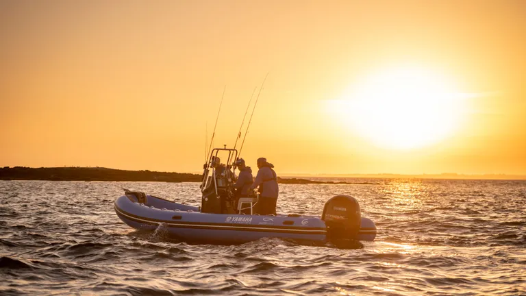 Båtmotor, Yamaha VF175LB