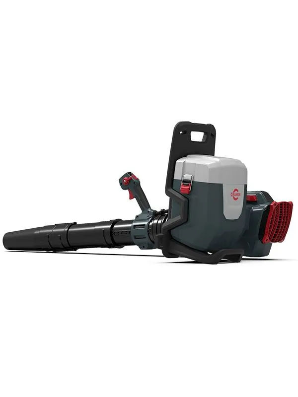 Ryggbåren løvblåser, Cramer 82BP1300