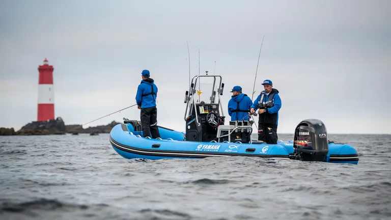 Båtmotor, Yamaha VF175XB